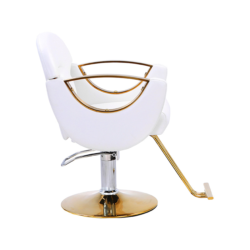 HZ8765BZ / HZ8765WZ / HZ8765PZ / HZ8765Z Cadeira de salão de estilo leve