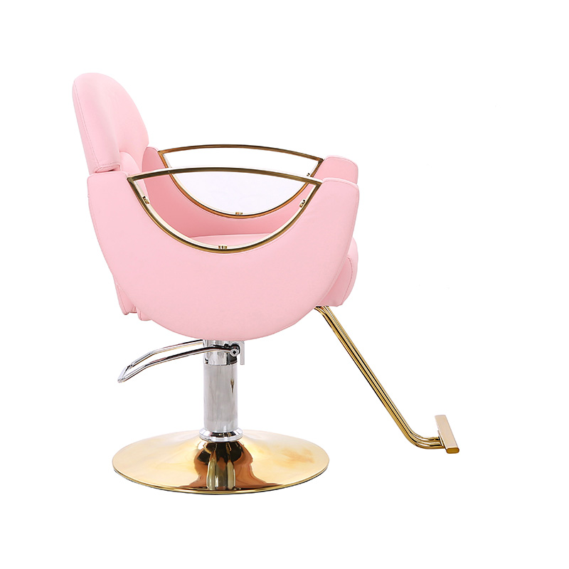 HZ8765BZ / HZ8765WZ / HZ8765PZ / HZ8765Z Cadeira de salão de estilo leve