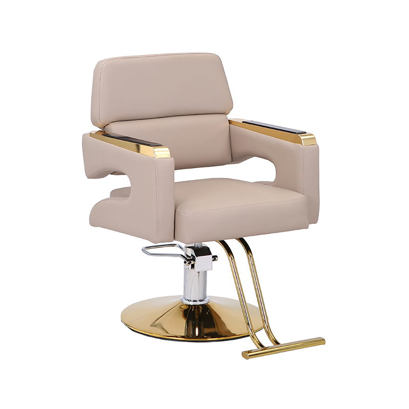 HZ88202/HZ88202BK Cadeira de cabeleireiro hidráulica preta/cinza